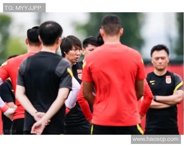 成都排球队灵活性引发热议球迷对战术调整的看法与期待