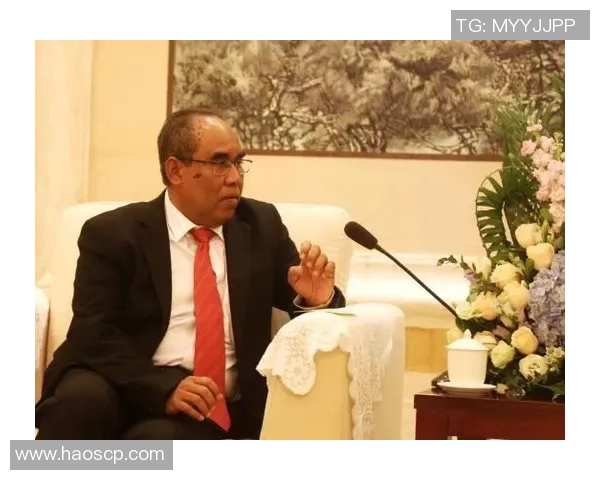 柔佛与彭亨的激烈对决谁能笑到最后探讨两州足球的未来发展